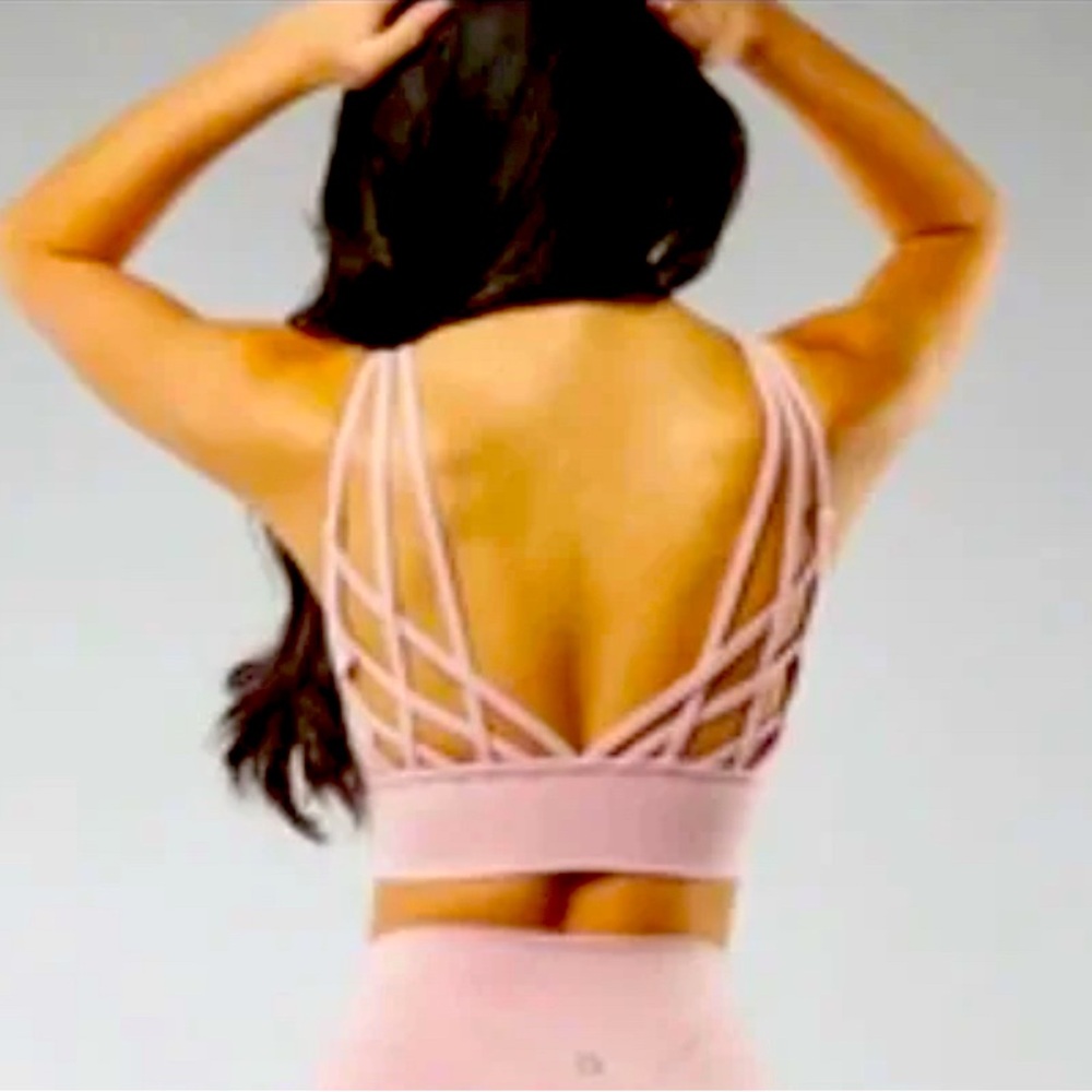 Buffbunny Collection: Monarch Sport Bra 3XL